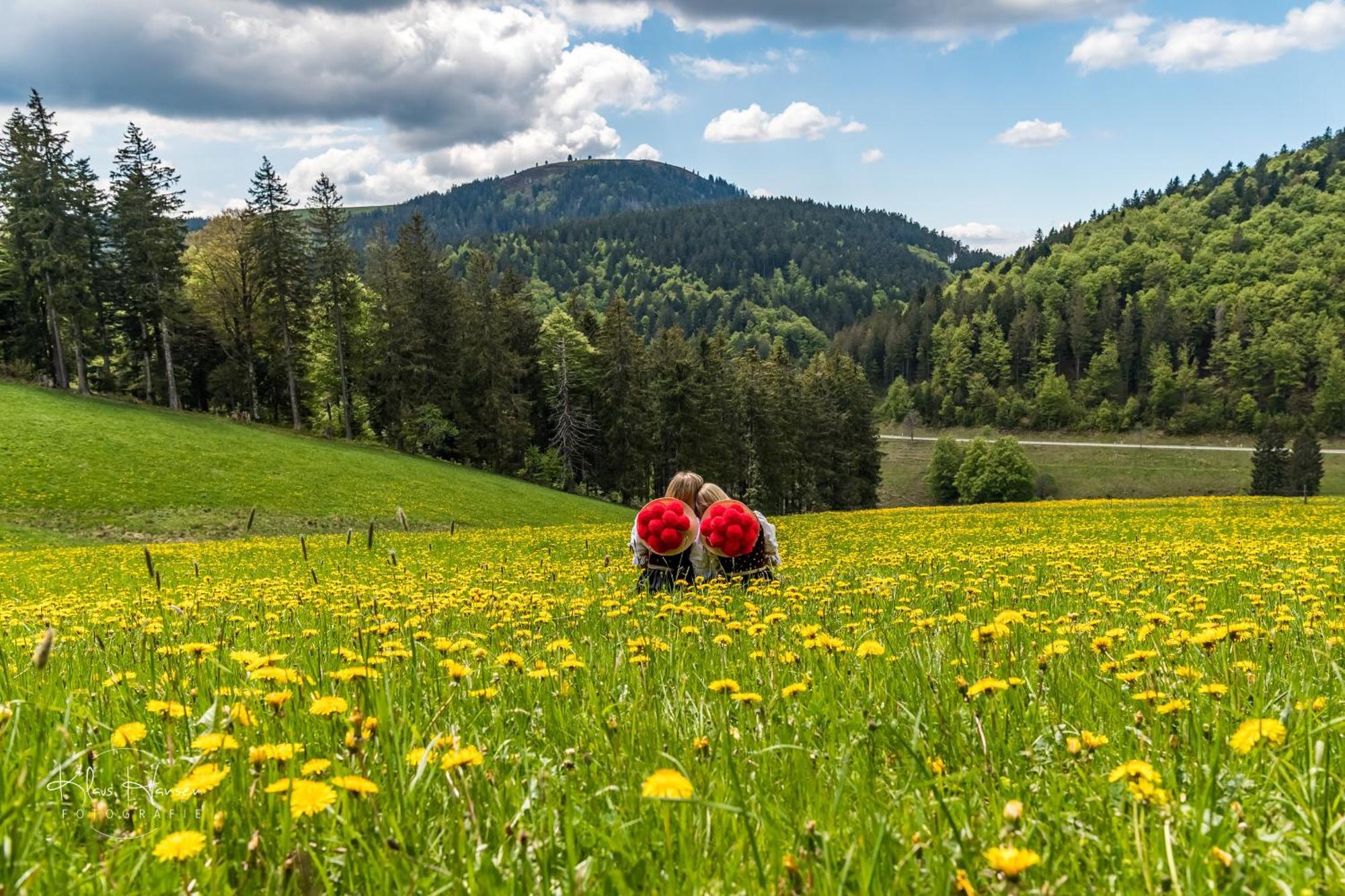 Schwarzwaldhaus Sonnenstrasse, Oberried-Hofsgrund, Dreisamtal Villa Оберид Екстериор снимка
