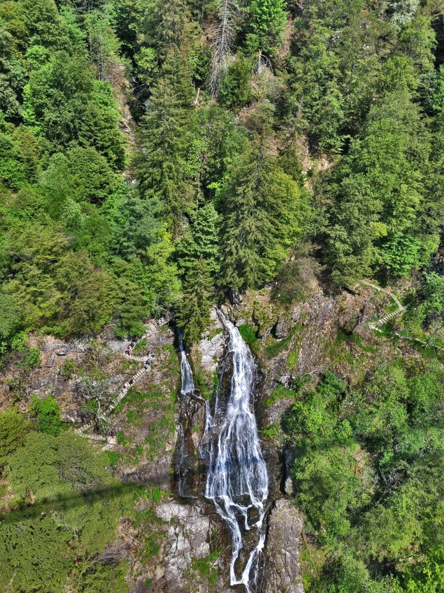Schwarzwaldhaus Sonnenstrasse, Oberried-Hofsgrund, Dreisamtal Villa Оберид Екстериор снимка